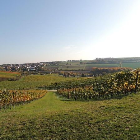 Weingut Seck Hotel Dolgesheim Екстериор снимка