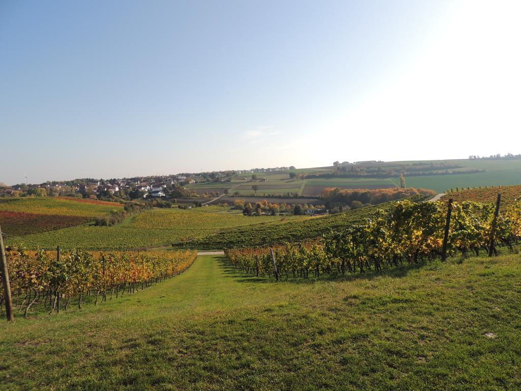 Weingut Seck Hotel Dolgesheim Екстериор снимка