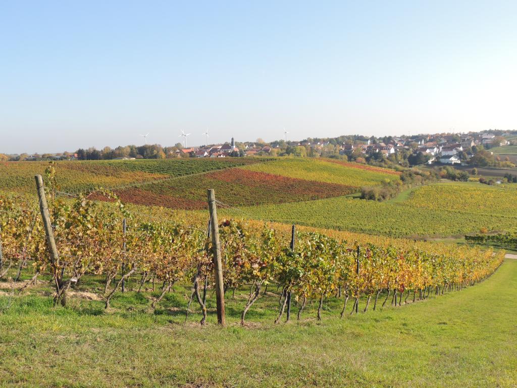 Weingut Seck Hotel Dolgesheim Екстериор снимка